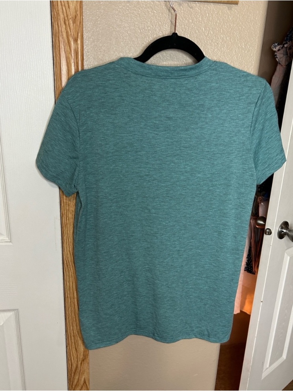 DOG LOVER Heathered Teal Graphic Tee with Dachshund Friends in Low Places - Picture 4 of 4